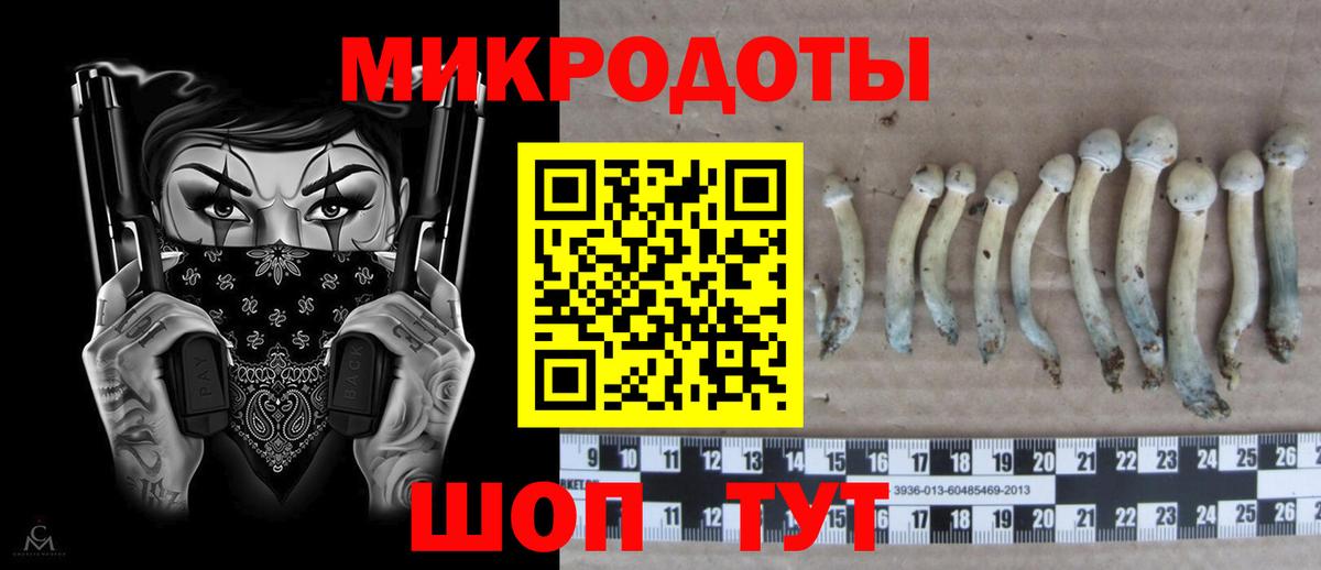 Галлюциногенные грибы Cubensis Красноярск