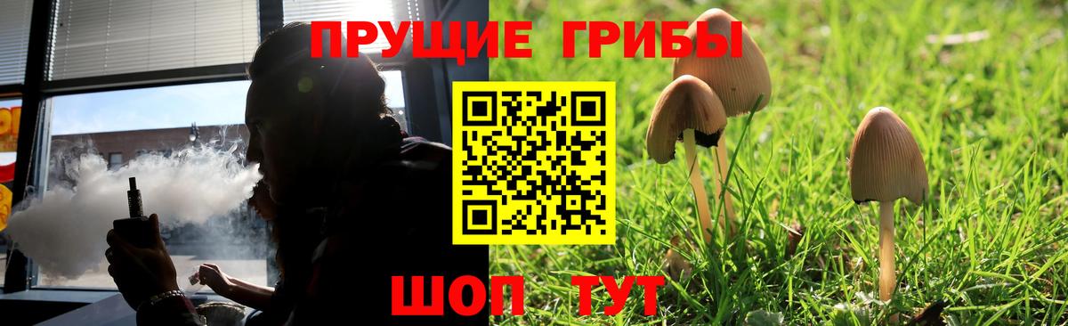 Красноярск  Псилоцибиновые грибы мухоморы  Вход с VPN 
